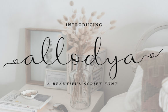 Allodya Font Review: Elevate Your Campaigns