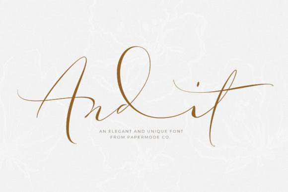 Andit: A Handwritten Typeface for Modern Web Design