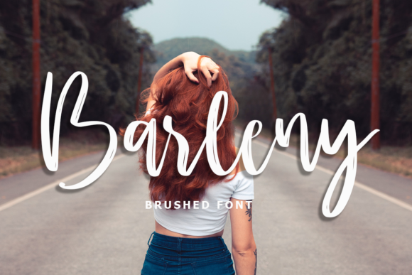 Barleny: A Designer’s Honest Review for Real Projects