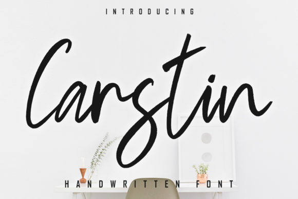 Carstin: A Designer’s Honest Review for Real Branding
