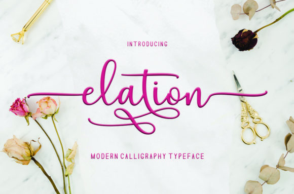 Elation Font Review: A Designer’s Take
