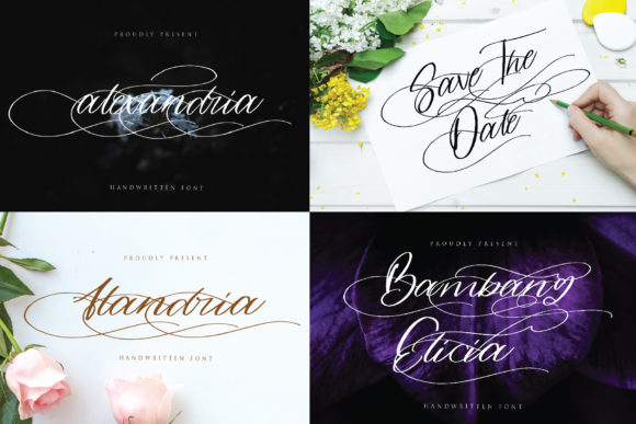 Elevate Web Design with the Alandria Typeface