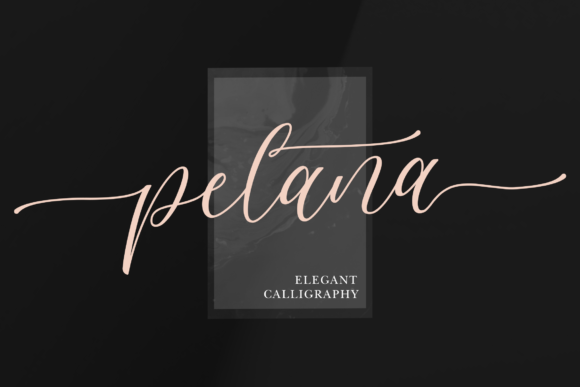 Pelana Typeface: Elevating Brand Identity with Elegant Script